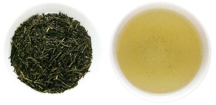 無農薬 お茶 宇治茶 送料無料 有機 上煎茶（50g）鹿児島県産 オーガニック こうろえん