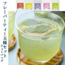 水出し 国産 お茶 抹茶入り 緑茶 フレーバーティーティーバッグ セット 冷茶 人気5種 【各5P】国産 もも りんご ゆず ぶどう ミント お茶の光露園/こうろえん