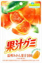 【訳あり】明治 ポイフル 53g×10個