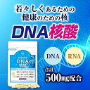 【訳あり】【公式】わかさ生活 DNA核酸 1袋 62粒入り 1ヵ月分 1日2粒 タブレット DNA RNA コエンザイムQ10 葉酸 配合