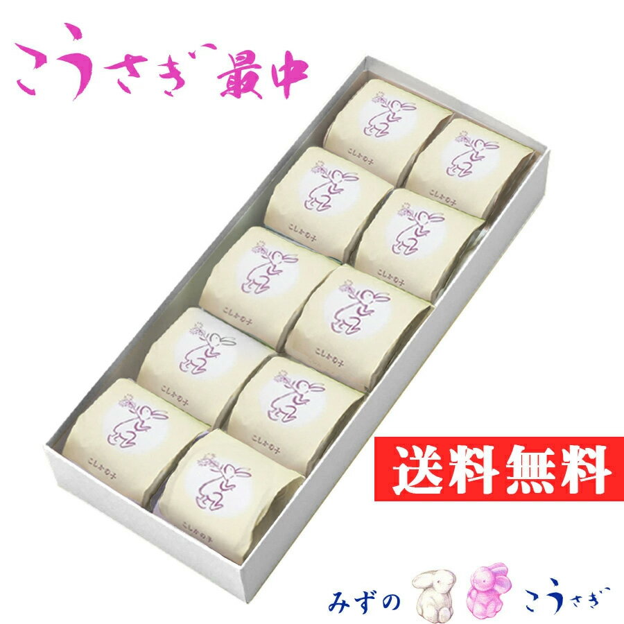 【 送料無料 】こうさぎ最中 こしかの子 10個入和菓子 ギフト スイーツ プレゼント 最適 お菓子 5色こうさぎ最中10個入り 手土産 お土産 に ご 挨拶 最適 敬老の日 にも ご利用いただけます　お取り寄せ ネット ご紹介 頂きました。東京 から発送致します。