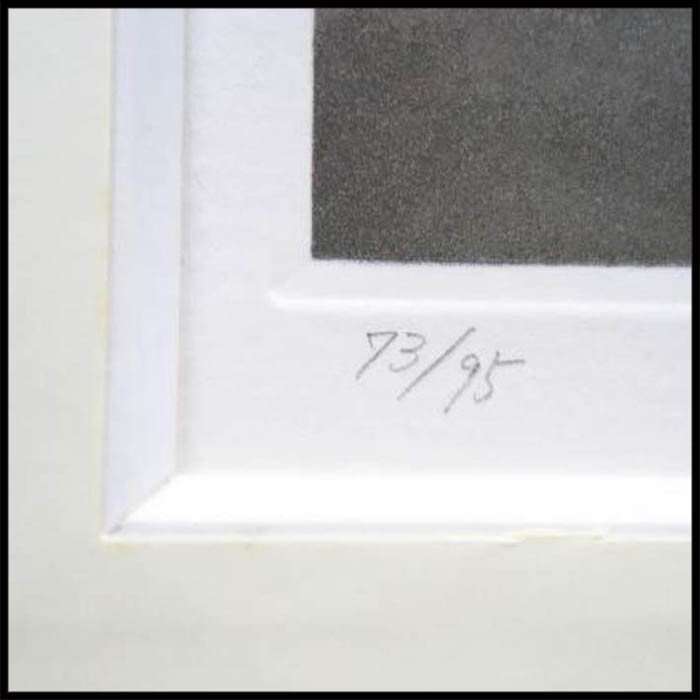 �û���¤ �إ����������'84-2��(73/95) ���� Ƽ�ǲ� ��ʪ�� ������ Matazo Kayama ��������š�