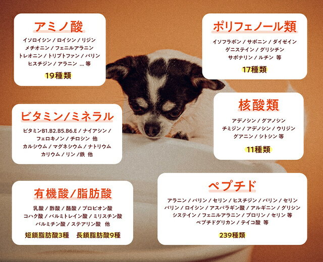 hada fine���ϥ��ե����󡡸�������ޡ�������ȩ��ͥ������뼫��ȯ�ڤΥ����顡 ���ܽ�ѥ��åƻ��͡�����ή���ʤ������������ʪ�������������ե��ƥ�ӡ��轵���������Υ󥹥ȥå����Ȥ��CM�仿�����桡hdfine-6sets