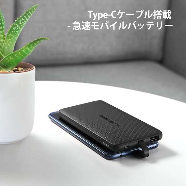 RAVPower ��֥ѥ 5000mAh Type C�����֥���¢��Х���Хåƥ꡼ �֥�å� RP-PB160��PSEǧ�ںѤߡ��˷���