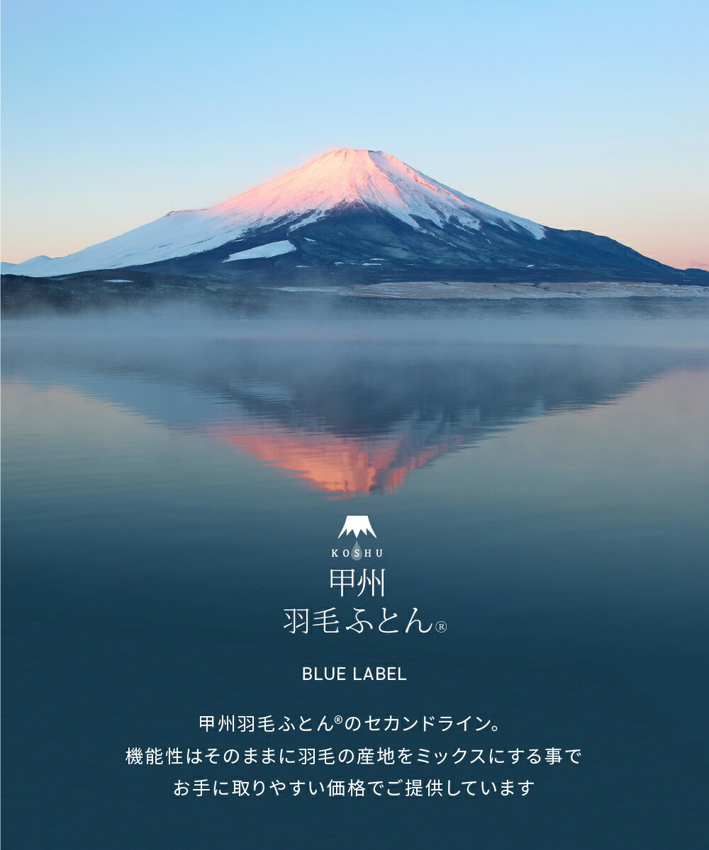 【送料無料】ホワイトグースダウン93%抗菌・抗ウイルス加工肌掛けふとん(Dサイズ190cmtimes;210cm)