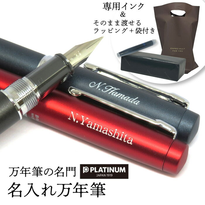 【名入れ無料】TVで紹介 万年筆 豪華ケース入れ プラチナ万年筆 プロシオン PNS-5000 インクカートリッジ付 ギフト ラッピング 手渡し袋付 入学祝 就職祝 プレゼントに 父の日 母の日 漫画家愛用 摩擦感を残した万能万年筆