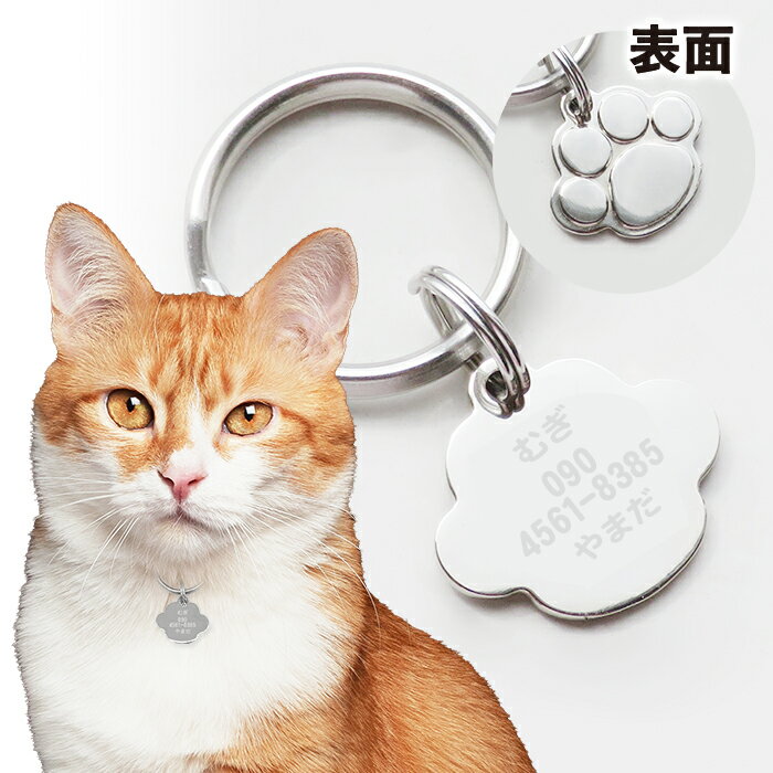 ネームプレート 猫 迷子札 透明アクリル カラー ネームタグ 首輪 pet nameplate nametag 名入れ ミニ 小型 名札 キーホルダー pg3 かわいい 名前入れ かっこいい ちちの日 父の日 プレゼント ギフト 記念品 ラゲッジタグ ラゲージタグ トラベルタグ 製作