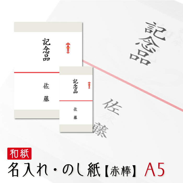 和紙 のし紙 熨斗 印刷 略式 赤棒 熨斗紙 印刷 名前入り 名入れ記念品 粗品 寸志 20枚 A5サイズ 送料無料