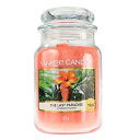 【5/1(水)ポイント10倍※要エントリー】【最大400円OFFクーポン】ヤンキーキャンドル YANKEE CANDLE ジャーL ザ ラスト パラダイス 623g アロマキャンドル 【あす楽】