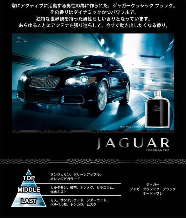 サンプル画像3