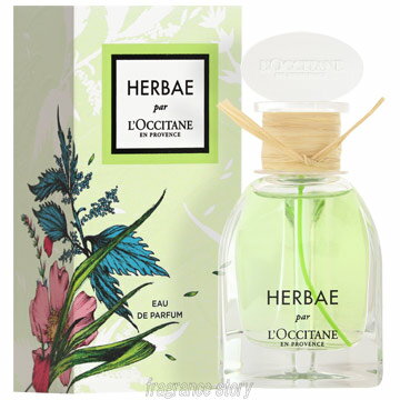 ロクシタン L'OCCITANE エルバヴェール 50ml EDP SP fs 【香水 レディース】【あす楽】のサムネイル