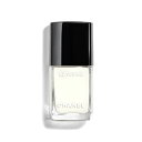 1月5日発売　【送料無料】 シャネル ヴェルニ 173 グラシアル -CHANEL- 【国内正規品】