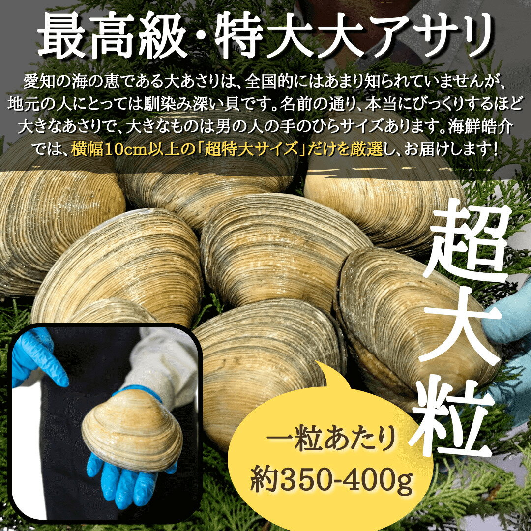 あさりの旬はいつ 産地別ベストシーズンと一度は食べたいアサリ料理をご紹介 暮らし の