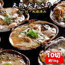 天然大アサリ10〜12切(約1kg・特製タレ付き)国産 愛知県の三河湾産 大あさり CAS冷凍 海鮮バーベキューBBQ ギフト プレゼント お取り寄せグルメ 送...