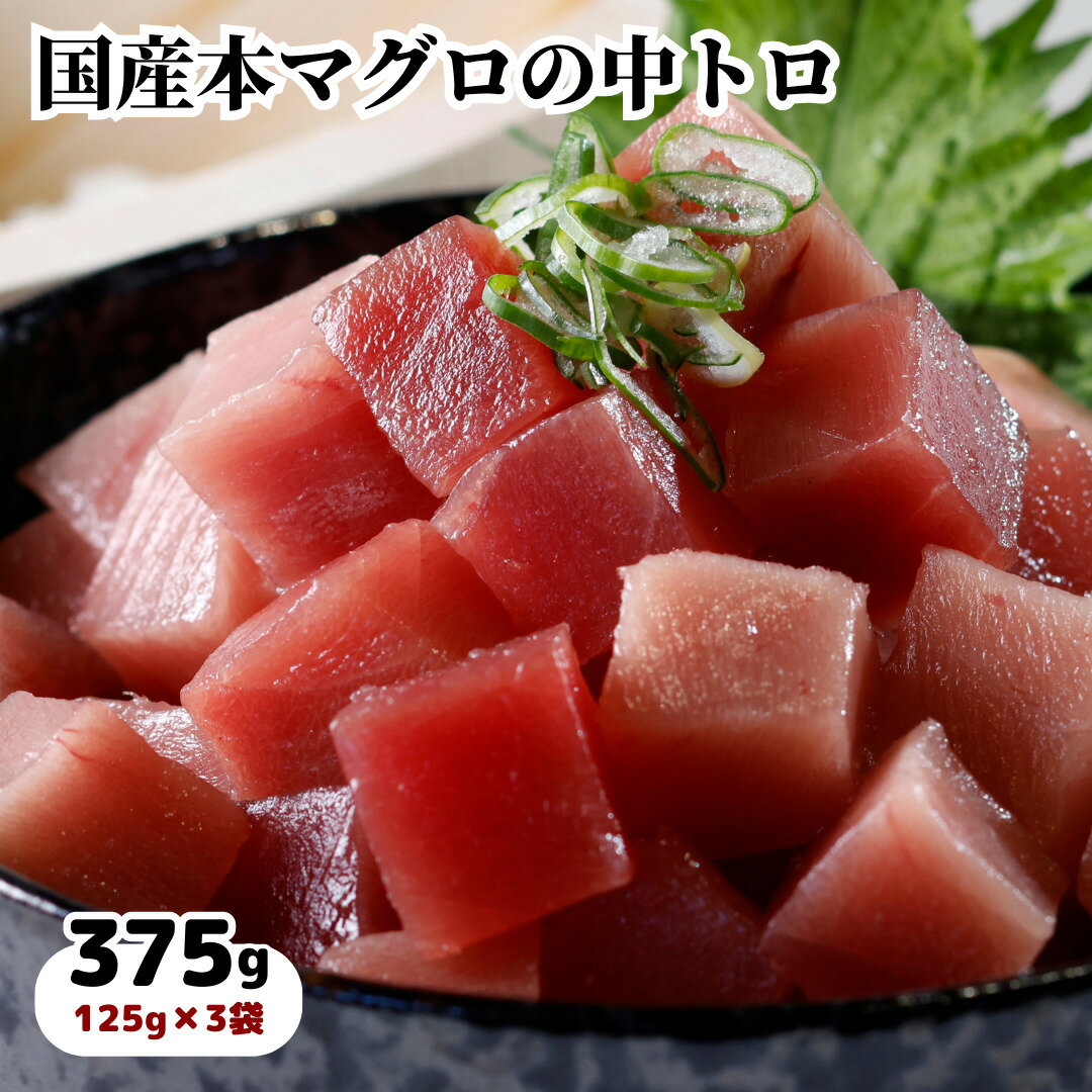 無添加 天然本マグロ 中トロサイコロカット375g 薬味ネギ付（125g×3袋）化粧箱入り ギフト仕様CAS冷凍【細胞が壊れない冷凍で超新鮮！】 送料無料 中トロ丼に 贅沢マグロ丼 プレゼント 贅沢 10000円 1万円 退職祝い 合格祝い 入学祝い お誕生日 お祝い お花見 おうちグルメ