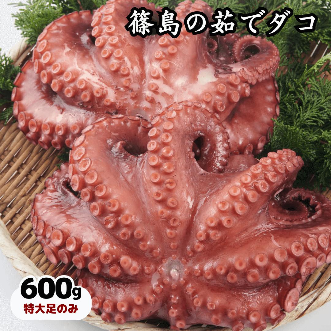 行列のできるたこ焼き屋が茹でる！篠島産茹でダコ600g（特大足3,4本） CAS冷凍ボイル蛸足 タコ 真蛸 国産 ゆでだこ 茹蛸 ギフト 食べ物 酒のつまみ バレンタイン