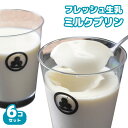 白いプリン6コ/9コ入 皓介スイーツ・ベラミー（ミルクパンナコッタ風）ギフトセット 送料無料 ギフト プレゼント さっぱり お菓子 生菓子 デザート 卵不使用 アレルギー対応 お取り寄せグルメ バレンタイン