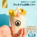 プレミアム白熊アイスクリーム6個セット(生果物&生乳ソフトクリーム)贈答用高級フルーツと田原産どうまい牛乳100%使用!しろくま ミルク 白くま シロクマ ジェ...