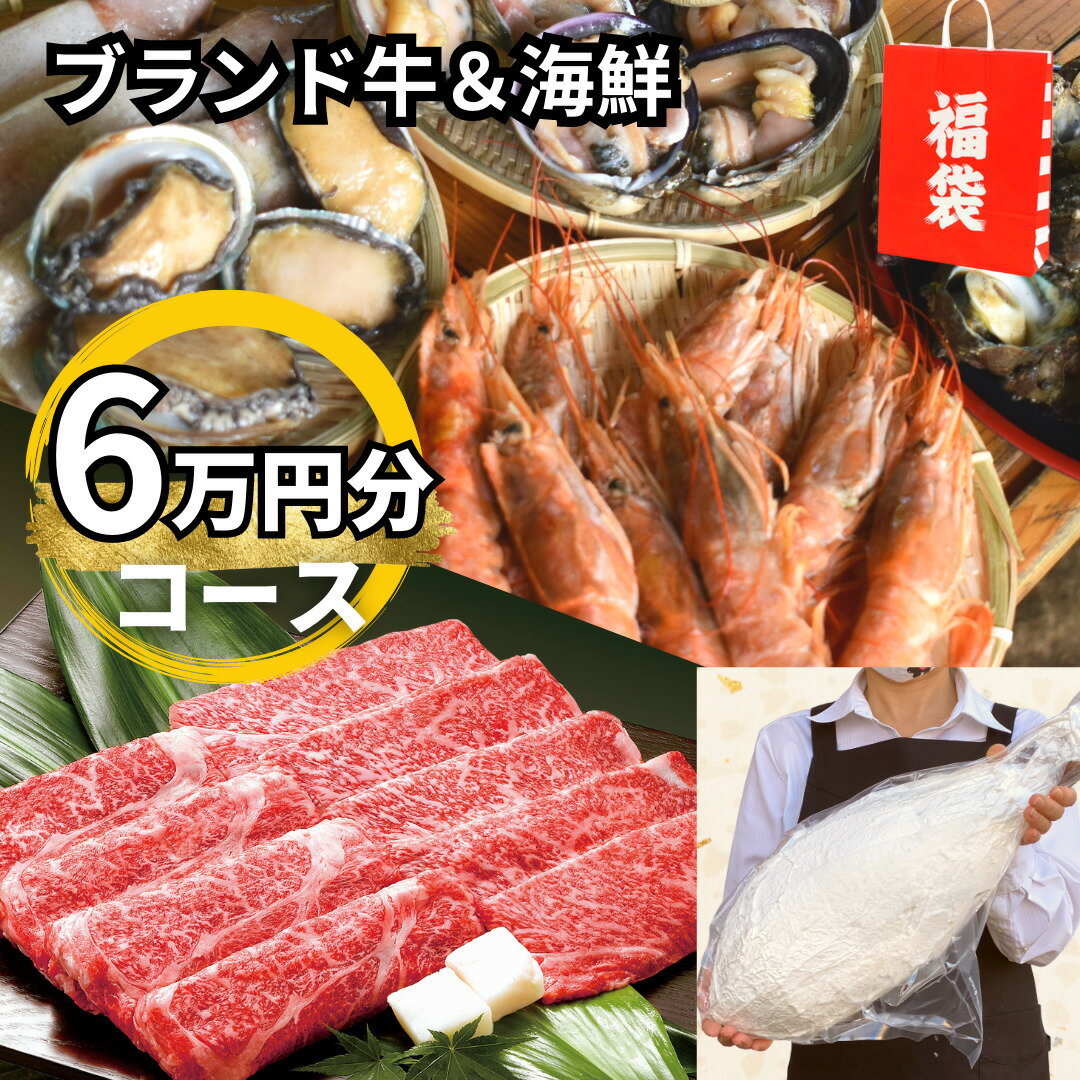 高級牛肉＆海鮮6万円分詰め合わせコース【送料無料】60000円分 贈り物 プレゼント 内祝い お礼 お返し すき焼き肉 しゃぶしゃぶ用 CAS冷凍食品 鍋 赤身霜降り 和牛 お取り寄せグルメ お誕生日 お祝い 合格祝い 入学祝い 退職祝い お花見 おうち BBQ バーベキュー