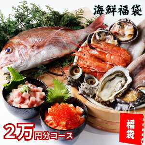 秋の海鮮セット2万円コース福袋 高級 豪華魚介20000円分 アワビ 鯛の塩釜 殻付き牡蠣 詰め合わせ 赤エビ 北海道 タラバガニ ズワイガニ 蟹 本マグロ 大トロ ネギトロ 鮭いくら 醤油漬けイクラ 等 早割 お取り寄せグルメ 敬老の日 孫から