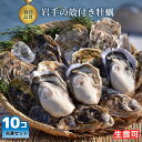 超特大！殻付き牡蠣(カキ)10コセット（約3kg 生直可 CAS冷凍 国産 岩手県産）超大粒 生食用 海鮮 バーベキュー 浜焼き ギフト プレゼント 高級 3キロ 送料無料 贈り物 生食用 退職祝い 合格祝い 入学祝い お誕生日 お祝い お花見 BBQ 熨斗対応