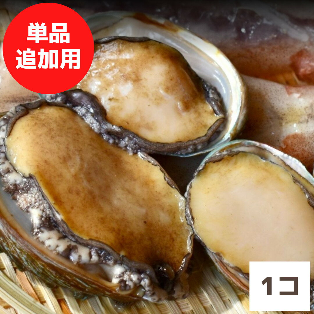 追加用：殻付き 蝦夷アワビ×1 （生食用）