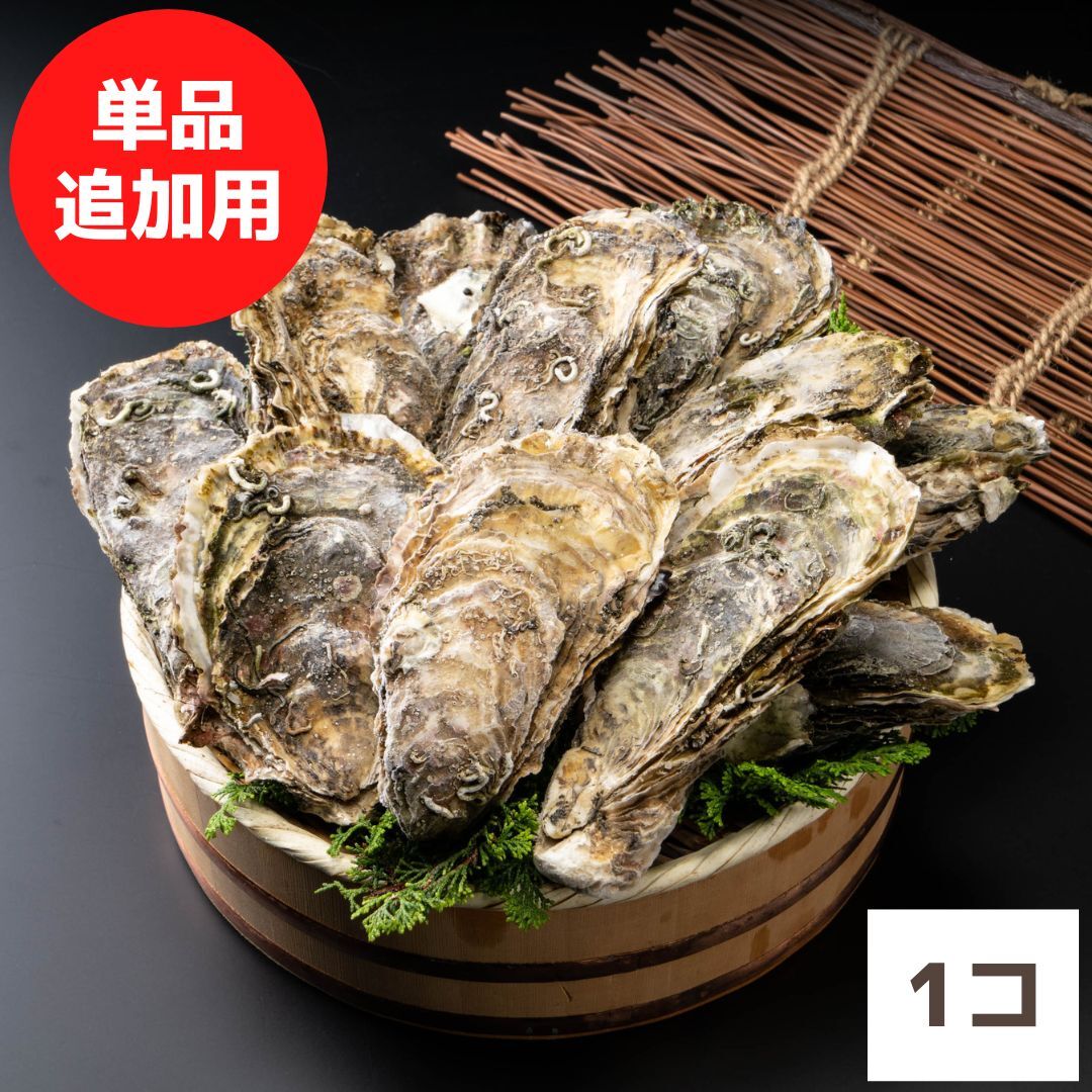 追加用：篠島産 殻付き牡蠣（カキ）M×1