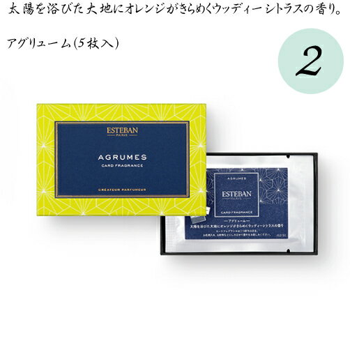 【メール便送料無料】カードフレグランス 名刺香 エステバン ネロリ/マグノリア/グリーンノート/トンカ/サンタル /お名刺入れ/お財布/お手紙/小さなスペースに 日本香堂 ESTEBAN