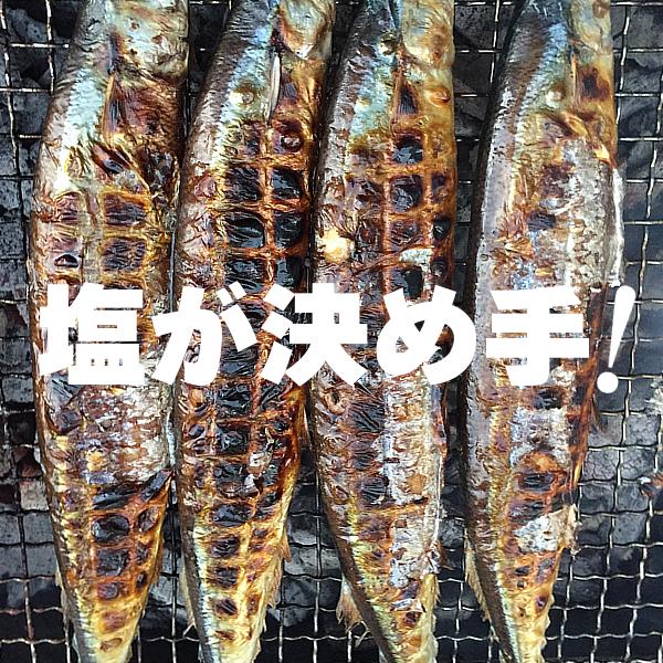 デボラ湖塩500gメール便で送料無料!【湖塩】【デボラ湖】【ナチュラルレイクソルト】