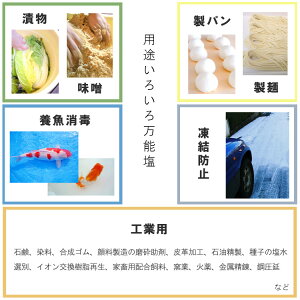 瀬戸のおいしい海の塩1kg×10宅配便送料無料塩ソルト調味料海水塩国産岡山県産粗塩漬物梅干し味噌天ぷらパスタ魚介料理肉料理製パン盛り塩バスソルトこわけや