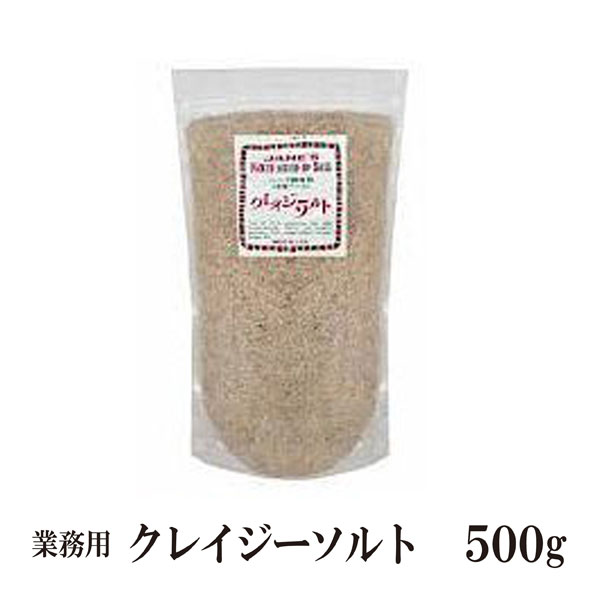 日本緑茶センター　クレイジーソルト　500g メール便 送料無料 詰替え用 無添加 ハーブ スパイス ソルト 調味料 こわけや