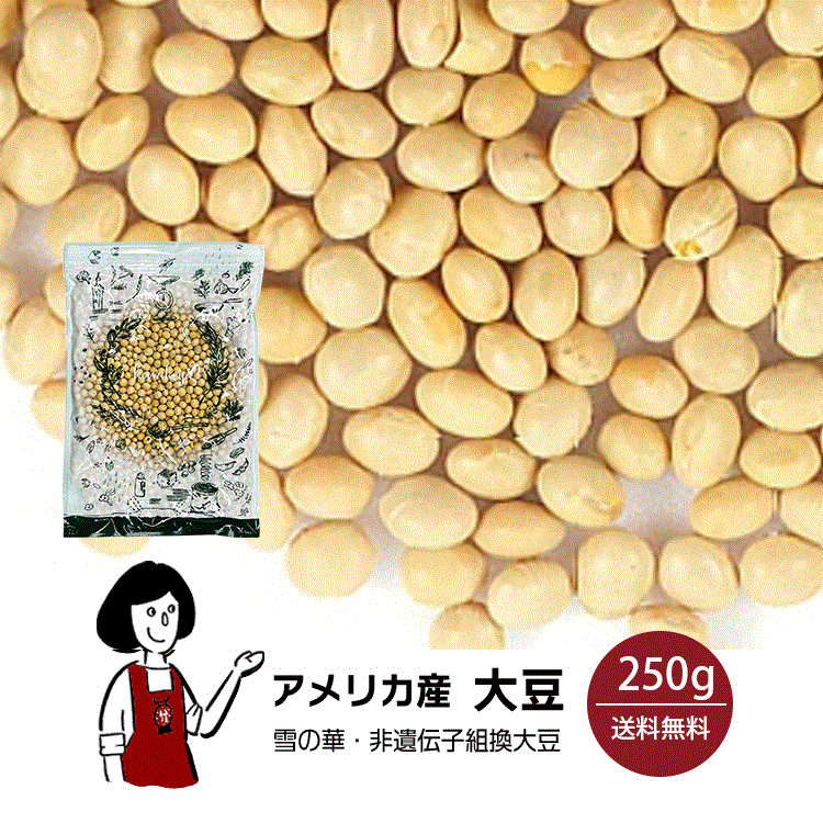 アメリカ産大豆　250g〔チャック付〕 メール便 送料無料 チャック付 大豆 インディアナ産 白目大豆 バラエティー大豆 雪の華 非遺伝子組換 乾燥豆 こわけや