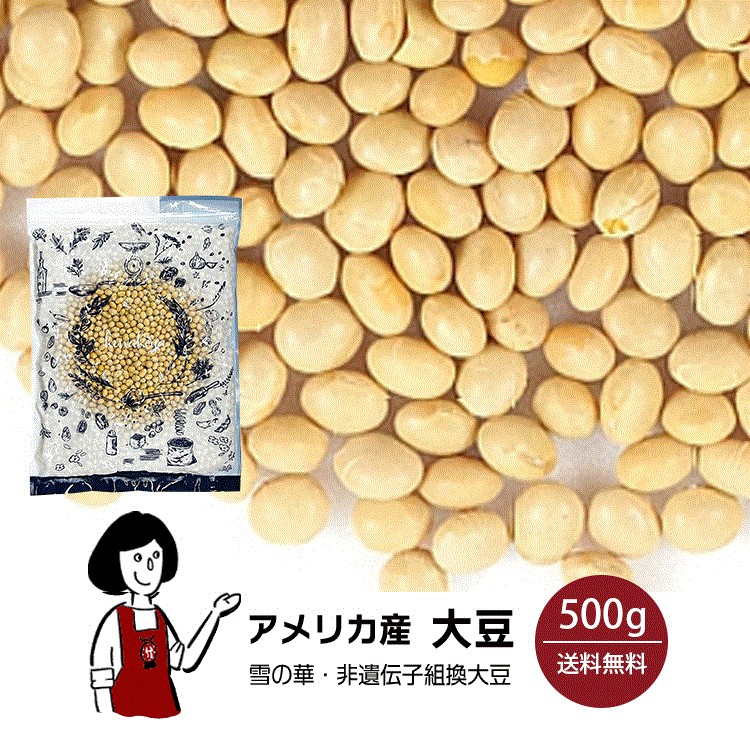 アメリカ産大豆　500g〔チャック付〕 メール便 送料無料 チャック付 大豆 インディアナ産 白目大豆 バラエティー大豆 雪の華 非遺伝子組換 乾燥豆 こわけや