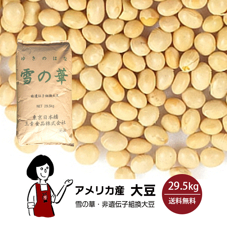 アメリカ産大豆　雪の華　29.5kg／約30kg 宅配便 送料無料 大豆 インディアナ産 白目大豆 バラエティー大豆 雪の華 非遺伝子組換 乾燥豆 こわけや