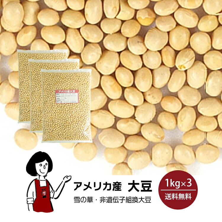 アメリカ産大豆　1kg×3〔チャック付〕 宅配便 送料無料 