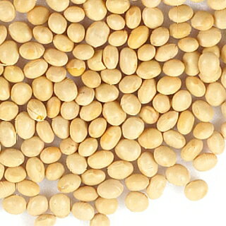アメリカ産大豆500g【メール便で送料無料】【アメリカ産】【白目大豆】【非遺伝子組換大豆】【NON-GMO】