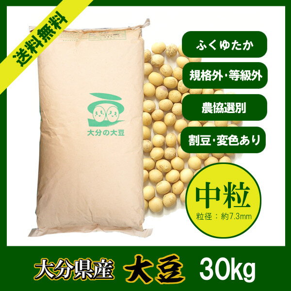 大分県産 大豆 《中粒》30kg／29年産 宅配便 送料無料 大豆 大粒 ふくゆたか 規格外 食物繊維 機能性成分 乾燥豆 豆腐 豆乳 味噌 ひじき煮 五目煮 ミネストローネ こわけや