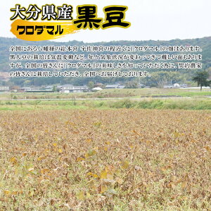 \新物セール/大分県産黒豆(クロダマル)《大粒》900g〔チャック付〕/数量限定メール便送料無料チャック付数量限定希少品種大分県産黒豆こわけや