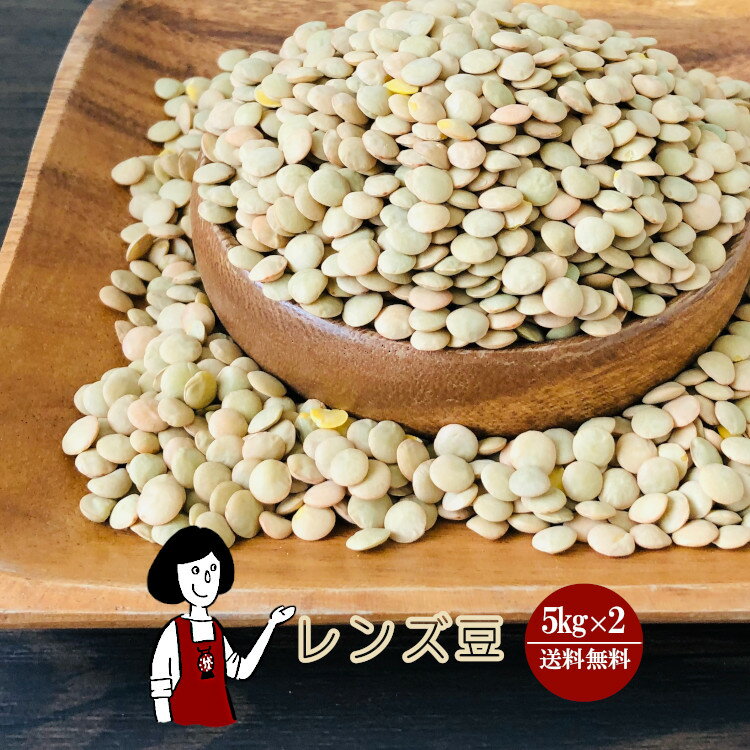 レンズ豆　5kg×2（計10kg）〔チャック付〕 宅配便 送料無料 チャック付 アカナダ産 ヒラマメ 乾燥豆 こわけや