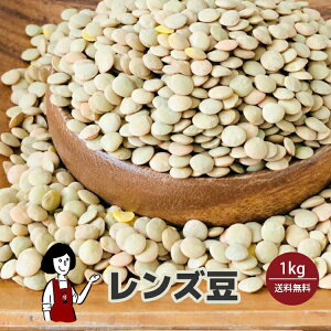 レンズ豆　1kg〔チャック付〕 メール便 送料無料 チャック付 カナダ産 ヒラマメ 乾燥豆 こわけや