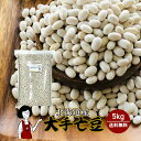 北海道産 大手亡豆 5kg / 送料無料 チャック付 北海道産 白いんげん豆 乾燥豆 こわけや