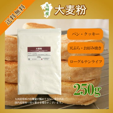 九州産 大麦粉　250g〔チャック付〕 メール便 送料無料 チャック付 九州産 グルテンフリー 食物繊維 βグルカン 製菓材料 製パン材料 こわけや