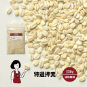 櫓㤨250g̥åա͡ ᡼ ̵ å    ʪ ¥륫 櫓פβǤʤ500ߤˤʤޤ