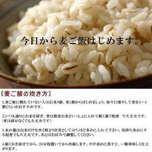 特選丸麦5kg※もち麦とうるち麦混合