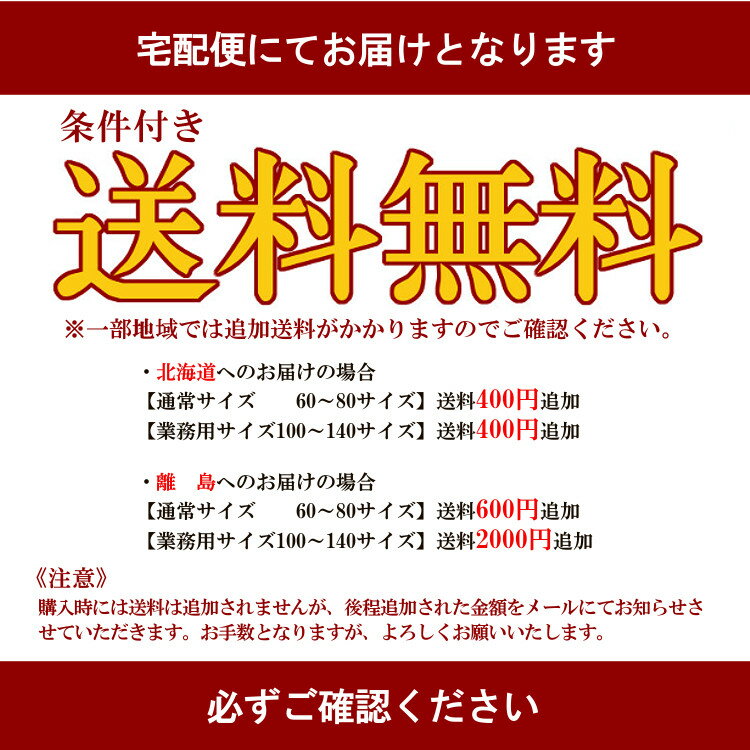 ミックスドライフルーツ　1kg×5袋 宅配便 送料無料 レーズン クランベリー パパイヤ パイナップル おやつ 製菓材料 製パン材料 鉄分 食物繊維 こわけや