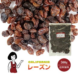 レーズン　500g〔チャック付〕 メール便 送料無料 チャック付 カリフォルニア産 葡萄 干しぶどう 常備食 甘味料 おやつ 製菓材料 製パン材料 こわけや