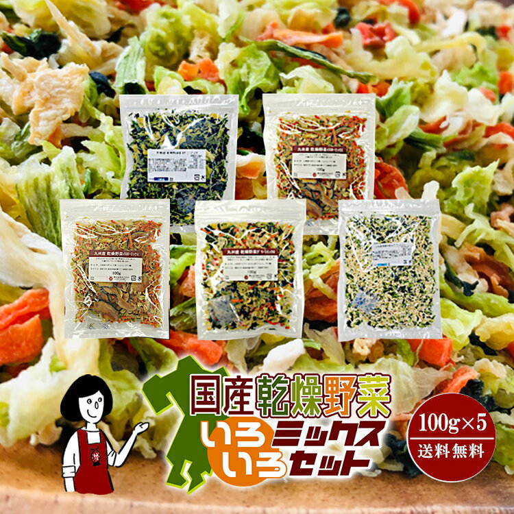 国産乾燥野菜いろいろミックスセット各100g×5...の商品画像
