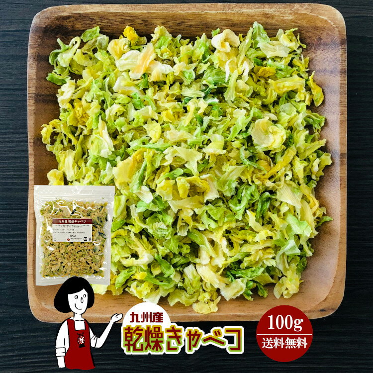 乾燥キャベツ100g〔チャック付〕／九州産 乾燥野菜 きゃべつ メール便 送料無料 チャック付 九州産 国産 ボイル済み ドライベジ アウトドア キャンプ 保存食 時間短縮 スープ こわけや