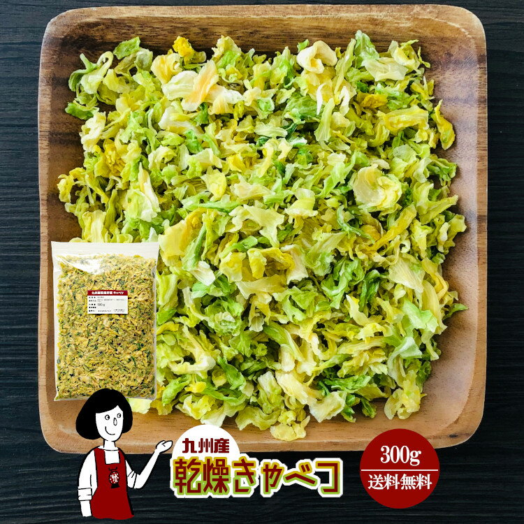 乾燥キャベツ300g〔チャック付〕／九州産 乾燥野菜 きゃべつ メール便 送料無料 チャック付 九州産 国産 ボイル済み ドライベジ アウトドア キャンプ 保存食 時間短縮 スープ こわけや