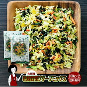 九州産乾燥野菜グリーンミックス100g×2